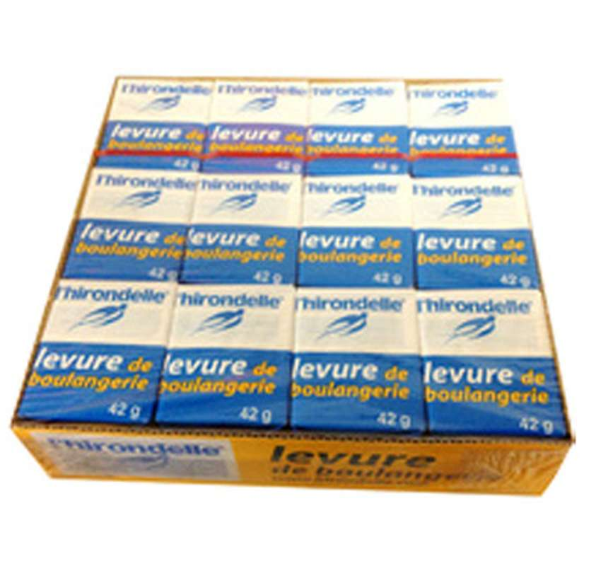 L'HIRONDELLE LEVURE BOULANGERIE P.M 42G X 12