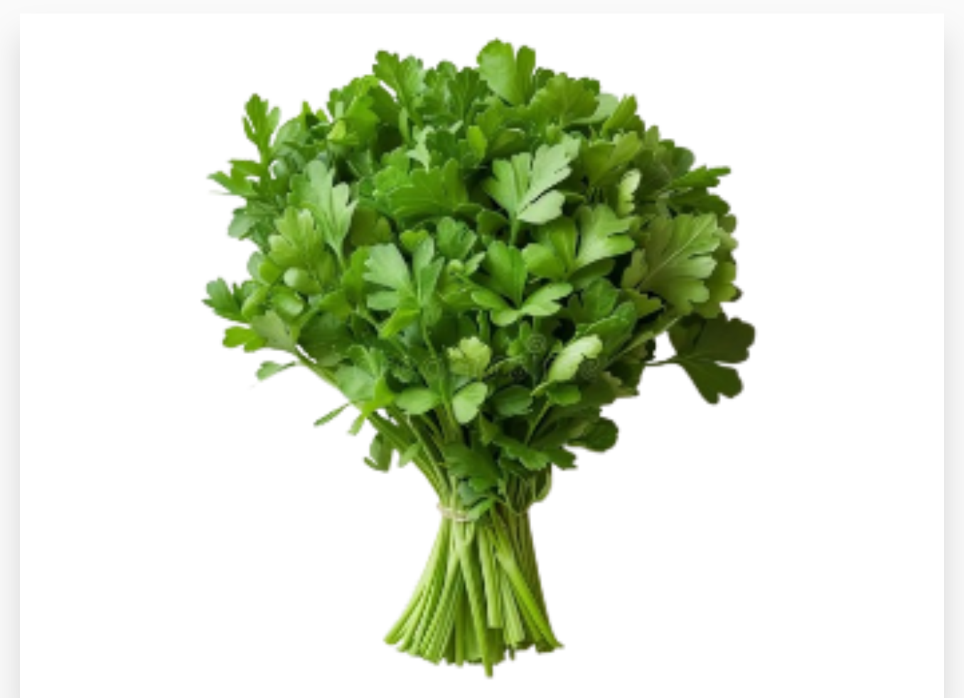 PERSIL FRAIS