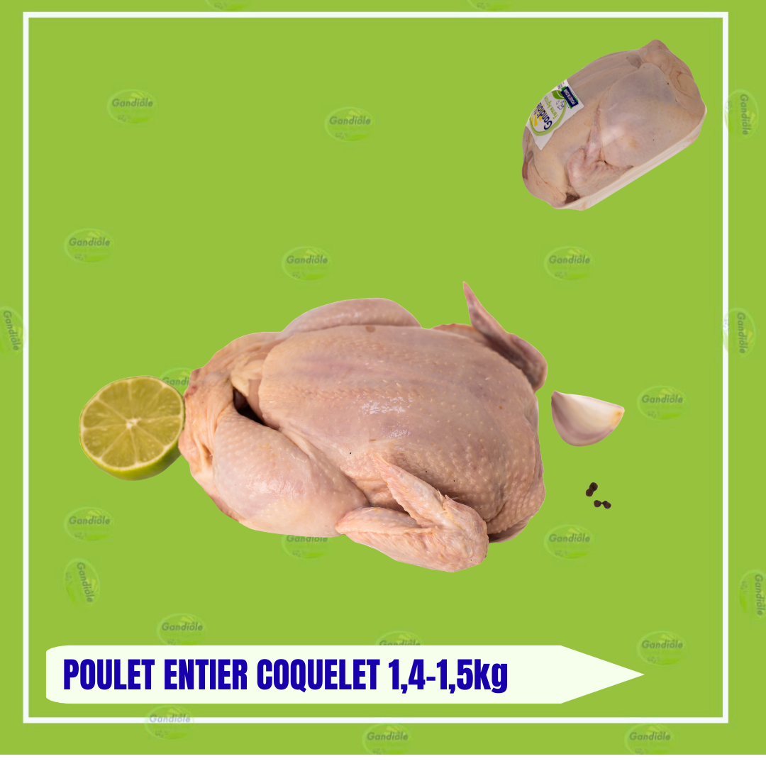 POULET ENTIER  AU KG /1.2KG-1.4KG