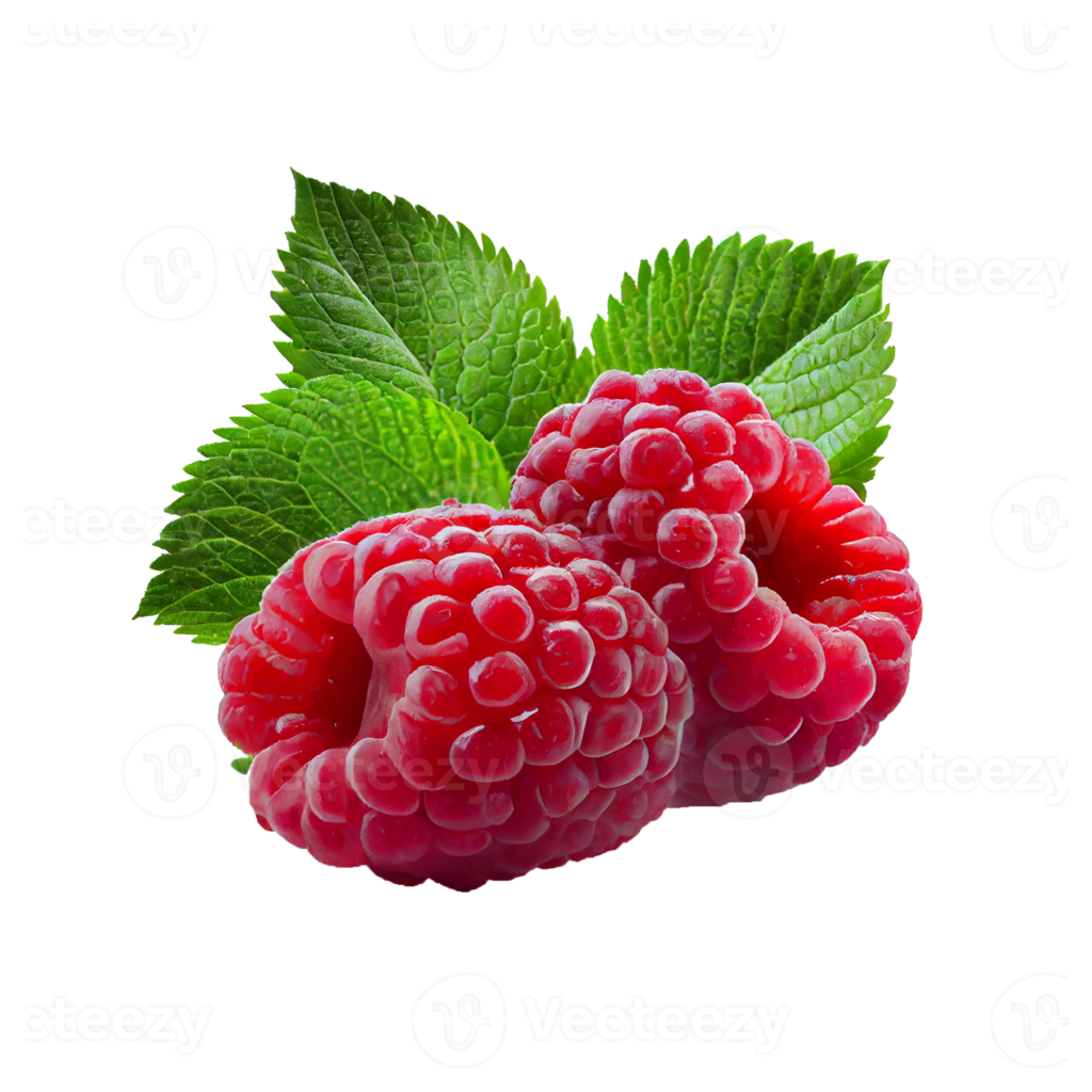 Framboise Iqf Surgelée