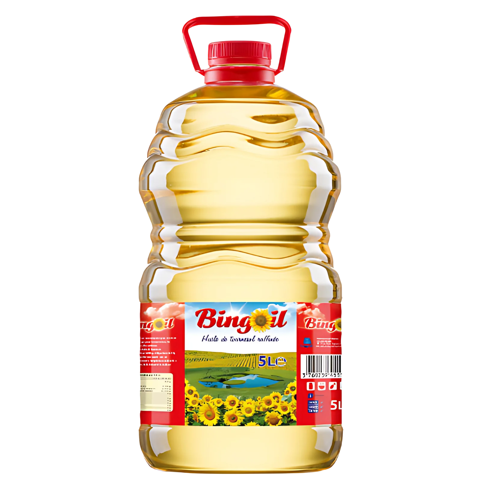 Huile Tournesol Bingoil