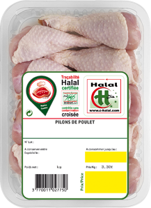 Pilons